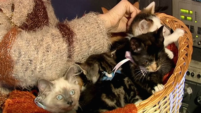 Doctor Who - Gridlock - basket of kittens looking up at sun