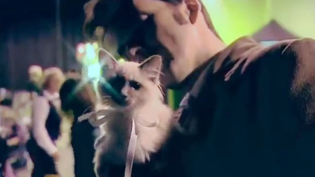 Doctor Who - Gridlock - David Tennant holding blue point kitten