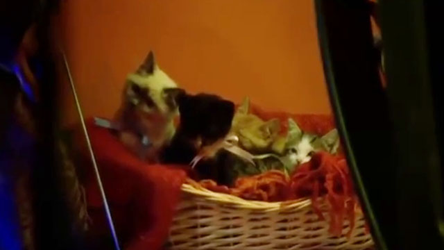 Doctor Who - Gridlock - basket of kittens