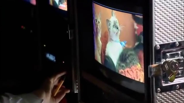 Doctor Who - Gridlock - kittens on monitor