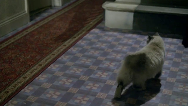 Doctor Who - The Lodger - longhair seal point cat approaching stairs
