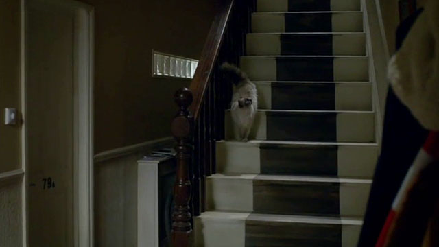 Doctor Who - The Lodger - longhair seal point cat on stairs