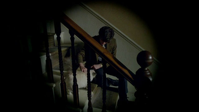 Doctor Who - The Lodger - Matt Smith sitting on stairs talking to longhair seal point cat