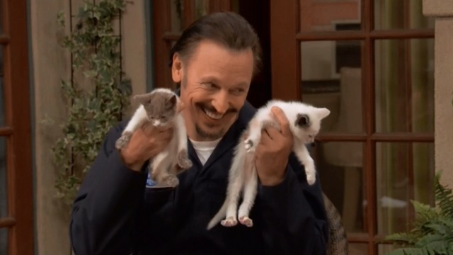 Ralph Steve Valentine holding up kittens