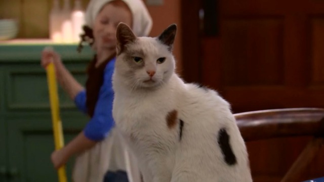 Chloe Francesca Capaldi and cat actor Frosty