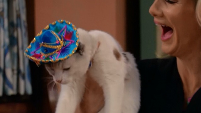 Ellen Beth Littleford puts sombrero on cat actor Frosty's head