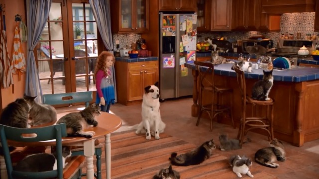 Dog With a Blog - Love Ty-Angle - Chloe Francesca Capaldi and Stan dog Mick surrounded by cats