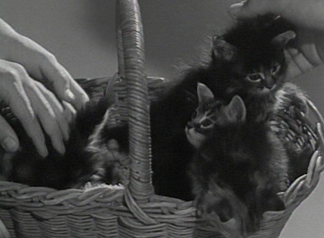 Donna Reed - basket of kittens