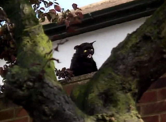 Doctor Who - Survival - black cat Kitling on wall