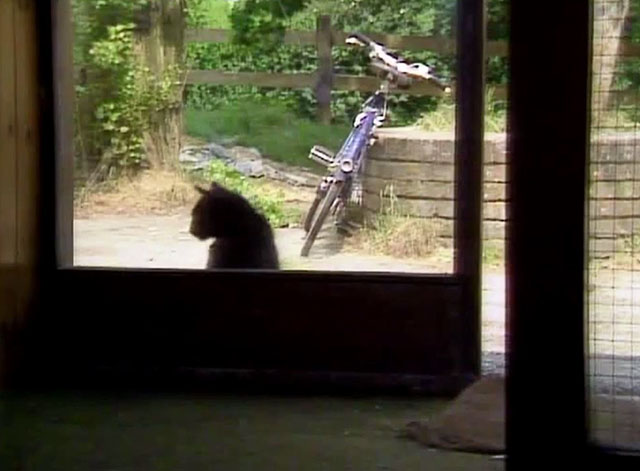 Doctor Who - Survival - black cat Kitling sitting outside door