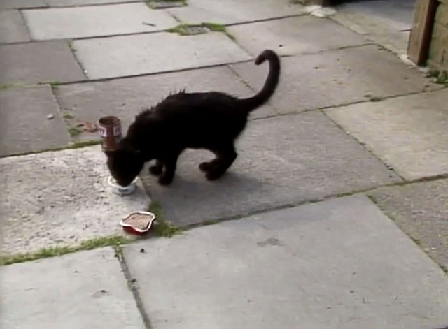 Doctor Who - Survival - black cat Kitling eating food from bowl on sidewalk