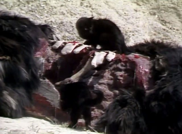 Doctor Who - Survival - black cat Kitlings feeding on carcass
