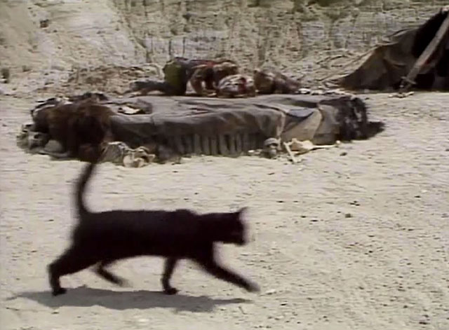 Doctor Who - Survival - black cat Kitling running by tent