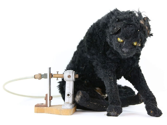 Doctor Who - Survival - animatronic black cat Sooty sold at auction
