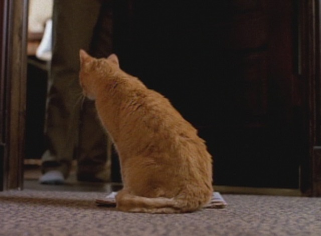 Early Edition - The Paper - Panther orange tabby cat at doorway with paper