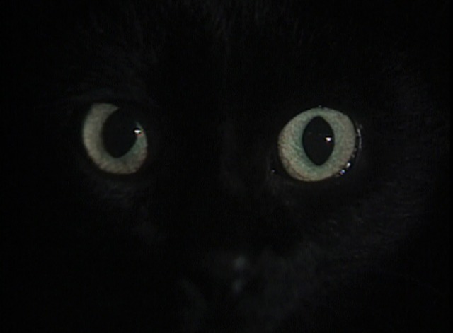 Tales of Mystery and Imagination - The Black Cat close on eyes