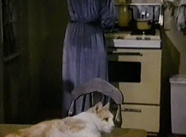 Eischied - Angels of Terror - ginger and white tabby cat P.C. lying on kitchen table