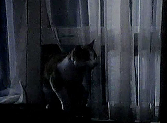 Eischied - Fire for Hire - ginger and white tabby cat P.C. Waldo Kitty coming through window