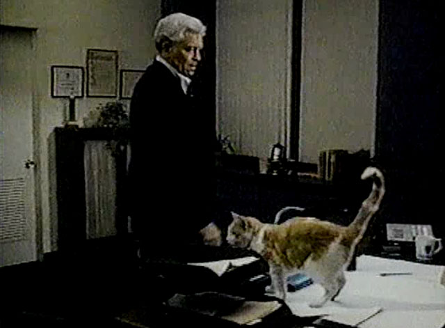 Eischied - Friday's Child - Parks Eddie Egan with ginger and white tabby cat P.C. Waldo Kitty