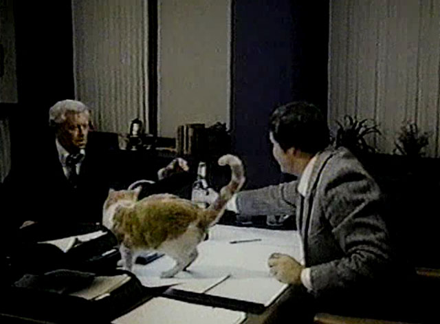 Eischied - Friday's Child - Parks Eddie Egan at desk with ginger and white tabby cat P.C. Waldo Kitty and Joe Don Baker