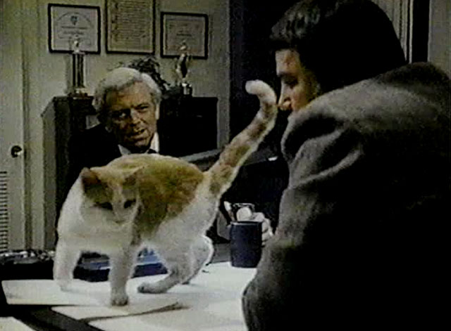 Eischied - Friday's Child - Parks Eddie Egan at desk with ginger and white tabby cat P.C. Waldo Kitty and Joe Don Baker