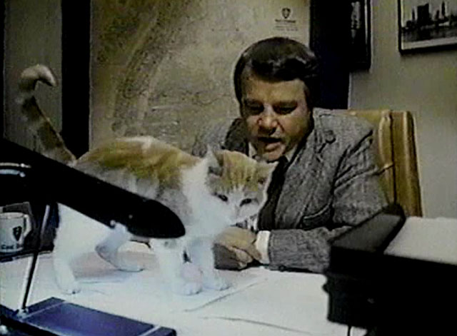 Eischied - Friday's Child - ginger and white tabby cat P.C. Waldo Kitty on desk with Joe Don Baker