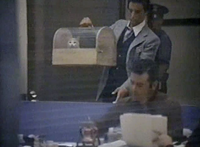 Eischied - Only the Pretty Girls Die - Detective Alessi Vincent Bufano carrying ginger and white tabby cat P.C. Waldo Kitty in carrier through precinct