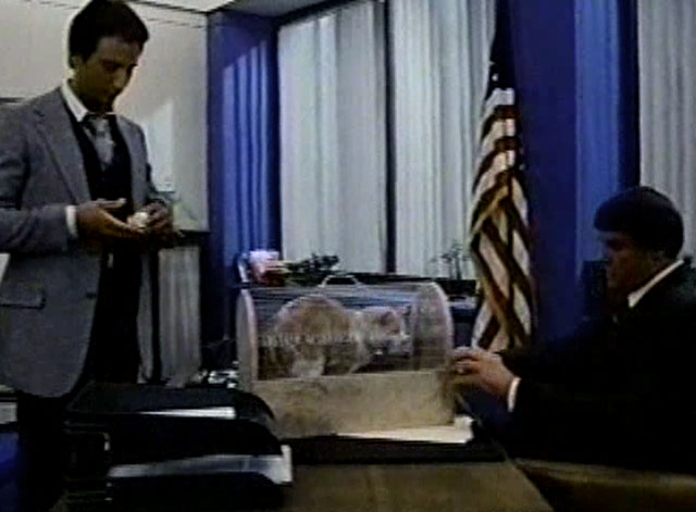 Eischied - Only the Pretty Girls Die - Detective Alessi Vincent Bufano and Joe Don Baker with ginger and white tabby cat P.C. Waldo Kitty in carrier on desk