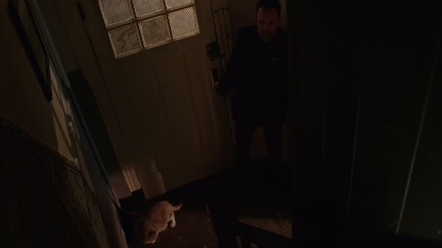Elementary - Dead Man's Switch - ginger tabby cat near door as Sherlock Holmes Jonny Lee Miller enters house
