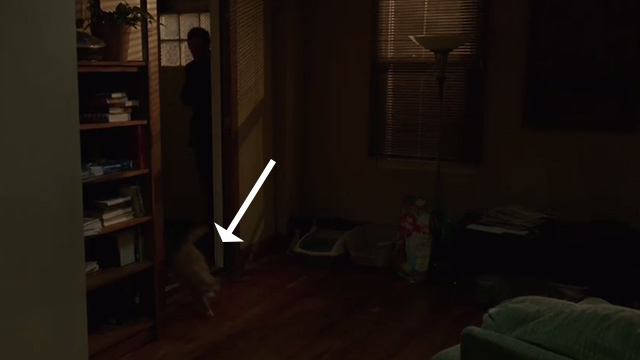 Elementary - Dead Man's Switch - ginger tabby cat running away from door as Sherlock Holmes Jonny Lee Miller enters house