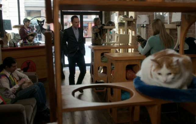 Elementary - Murder Ex Machina Sherlock Holmes enters cat cafe