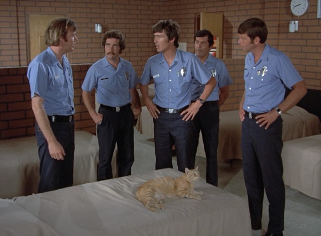Emergency! - Station 51 crew looking at cat on John's bed