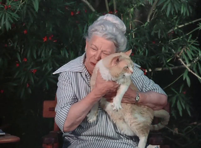 Emergency - The Unlikely Heirs - orange and white cat Simba being hugged by Mrs. Evans Elizabeth Kerr