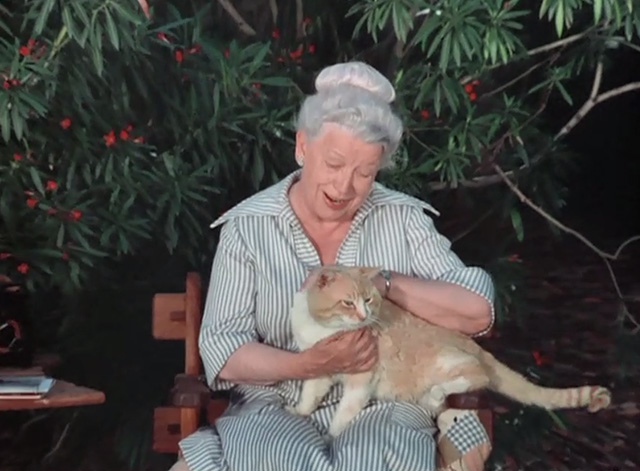 Emergency - The Unlikely Heirs - orange and white cat Simba being petted by Mrs. Evans Elizabeth Kerr