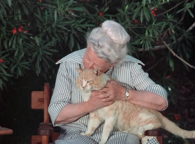 Emergency - The Unlikely Heirs - orange and white cat Simba being hugged by Mrs. Evans Elizabeth Kerr