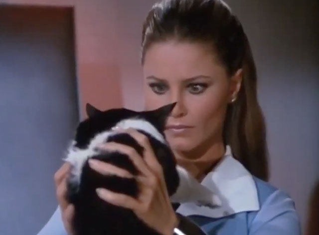 The Fantastic Journey - A Dream of Conquest - Liana Katie Saylor communicating with tuxedo cat Sil-L