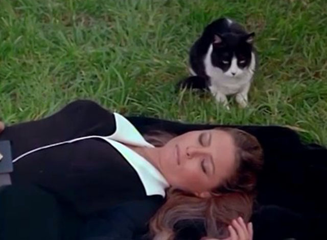 Fantastic Journey - Beyond the Mountain - tuxedo cat Sil-L sitting next to Liana Katie Saylor lying on grass