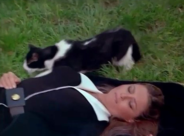 Fantastic Journey - Beyond the Mountain - tuxedo cat Sil-L running away from Liana Katie Saylor lying on grass