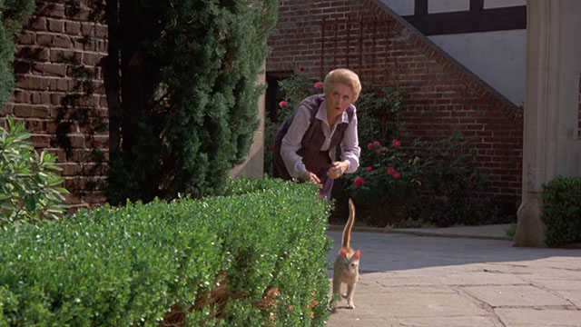 Fantasy Island - Beachcomber / The Last Whodunnit - Mabel Celeste Holm releasing ginger tabby cat Hercule
