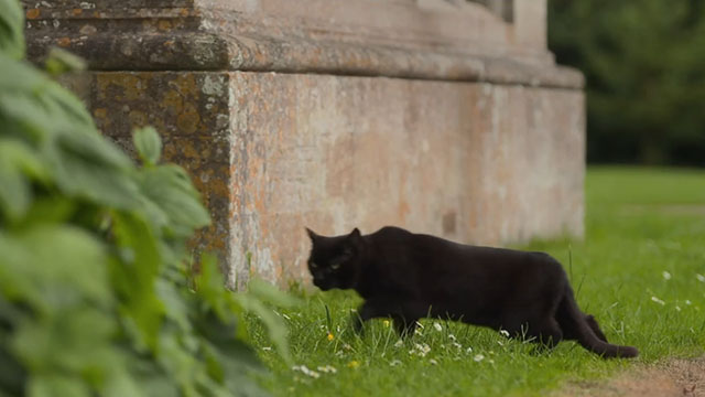 Father Brown - The Cat of Mastigatus - black cat walking near wall