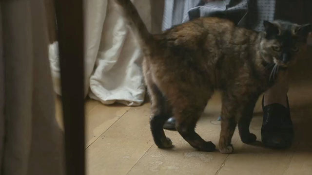 Father Brown - The Wrong Shape - tortoiseshell cat