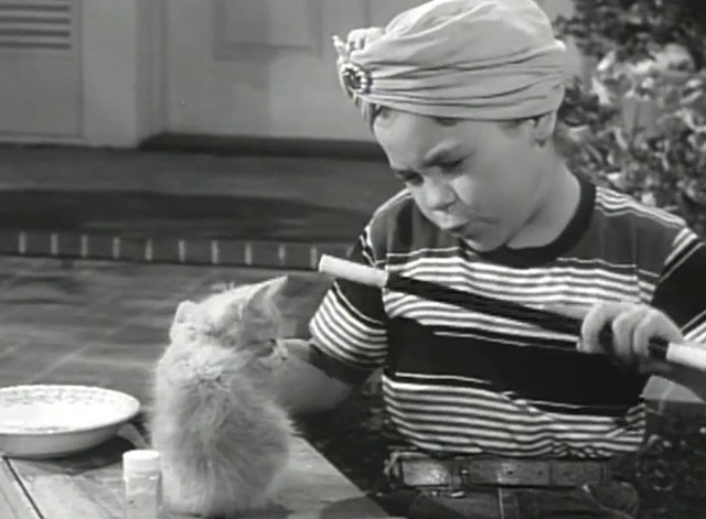 Father Knows Best - Kathy Makes Magic - Lauren Chapin wearing turban and doing magic on tabby kitten Fluffy