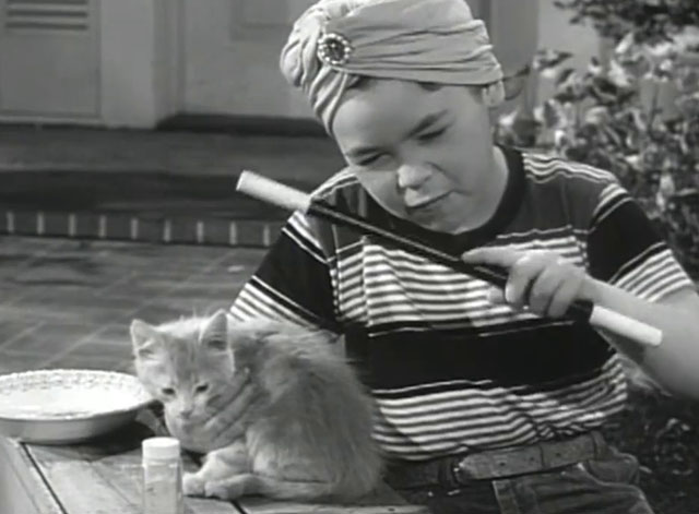 Father Knows Best - Kathy Makes Magic - Lauren Chapin wearing turban and doing magic on tabby kitten Fluffy