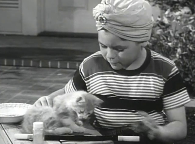 Father Knows Best - Kathy Makes Magic - Lauren Chapin wearing turban and doing magic on tabby kitten Fluffy