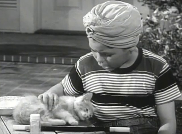 Father Knows Best - Kathy Makes Magic - Lauren Chapin wearing turban and doing magic on tabby kitten Fluffy