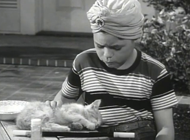 Father Knows Best - Kathy Makes Magic - Lauren Chapin wearing turban and doing magic on tabby kitten Fluffy