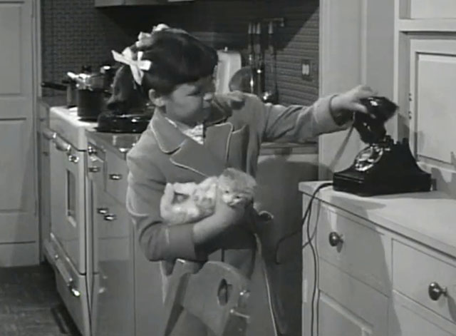Father Knows Best - Kathy Makes Magic - Lauren Chapin holding tabby kitten Fluffy while hanging up phone