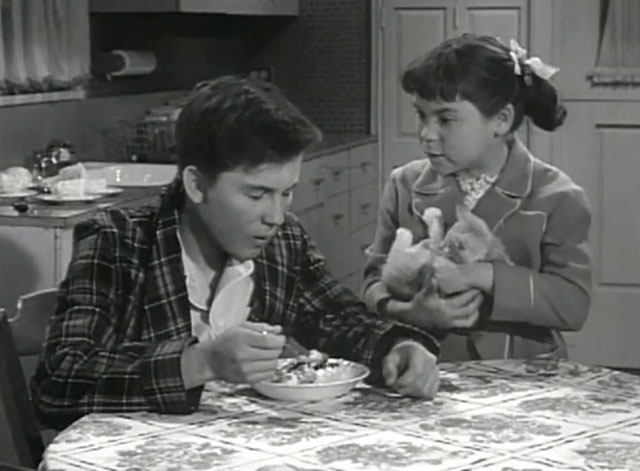 Father Knows Best - Kathy Makes Magic - Lauren Chapin holding tabby kitten Fluffy while talking to Bud Billy Gray