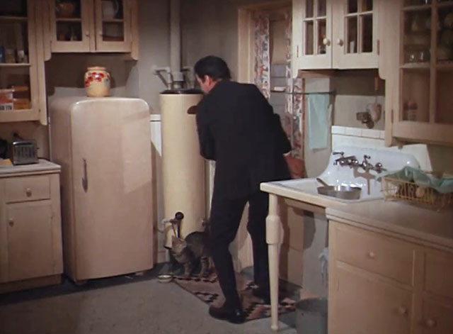 The F.B.I. - Blood Verdict - brown tabby cat inside door by food bowl with Luis Mario Alcalda