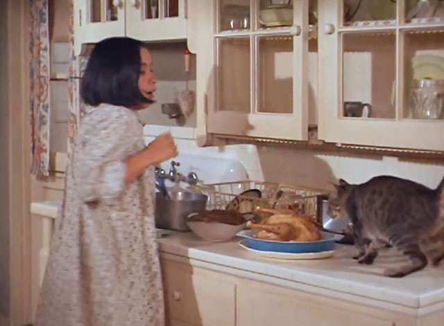 The F.B.I. - Blood Verdict - brown tabby cat startling Anita Pilar Seurat by jumping on counter with chicken